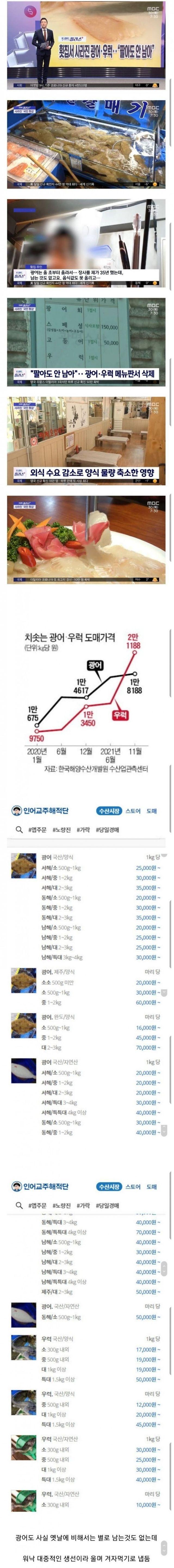 가격폭등한 광어 우럭.jpg