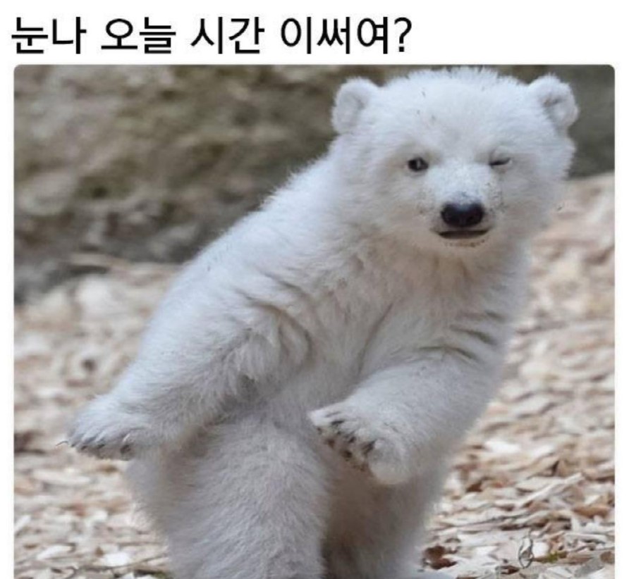 눈나눈나~