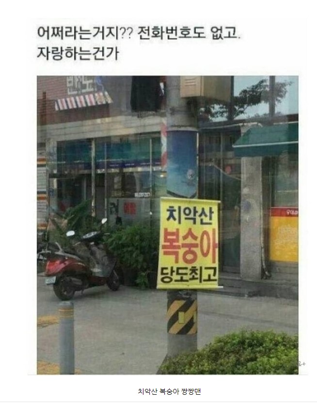 와 복숭아 맛있겠다 근데...