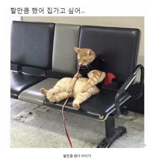 뻥프리만 몇번째인지///