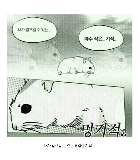 아주 작은...기적....