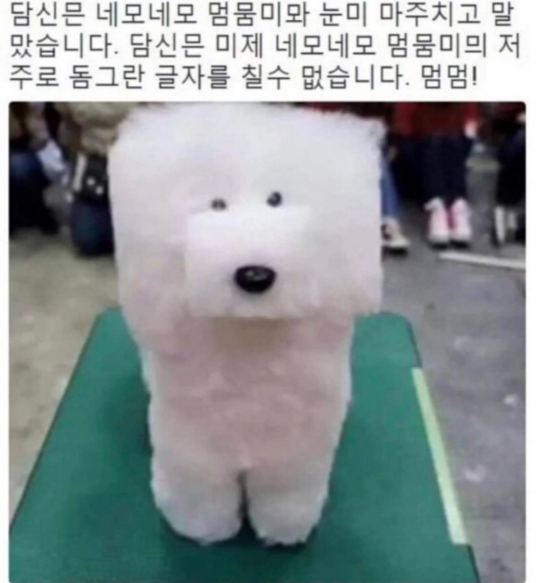 네모네모멈뭄미