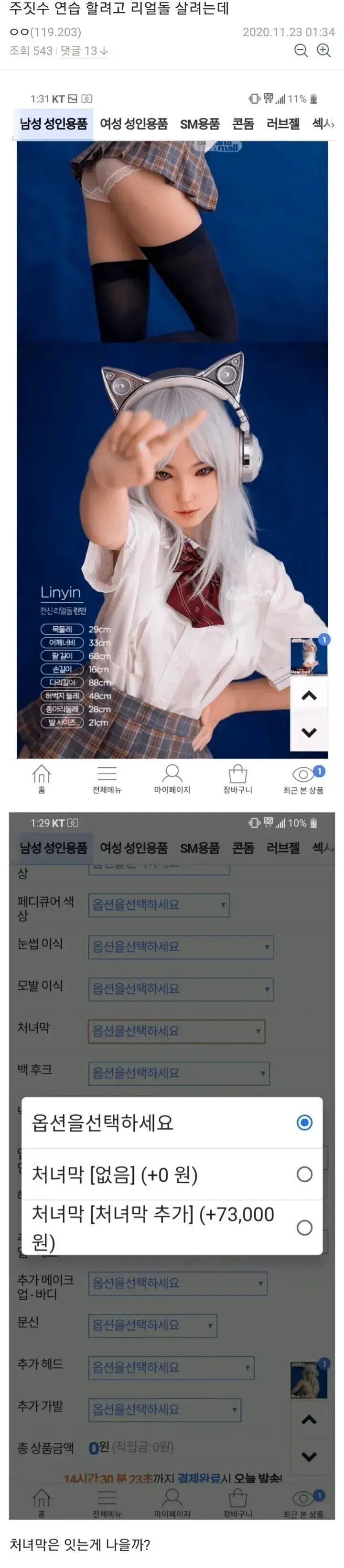 ㅇㅎ)주짓수 연습 할려고 리얼돌 사려는 디씨인