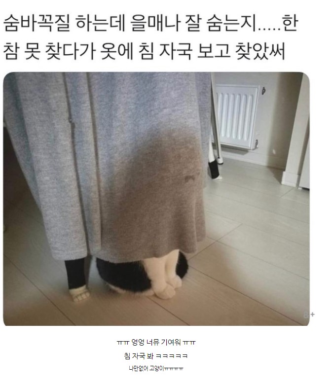 꼭꼭 숨어라~