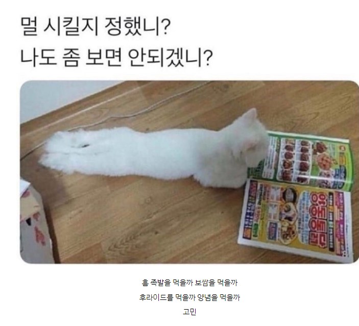 흠~말 걸지마