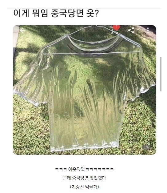 이게 뭐임?