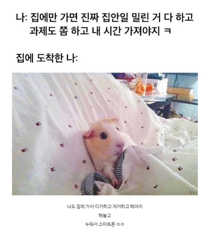 퇴근 후