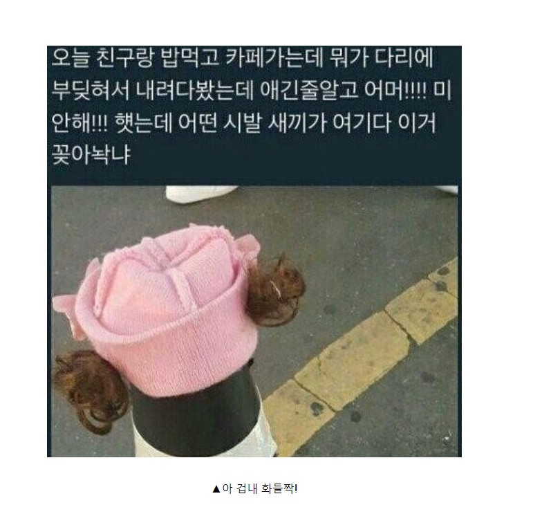 핑크색 모자를 쓴 꼬맹이