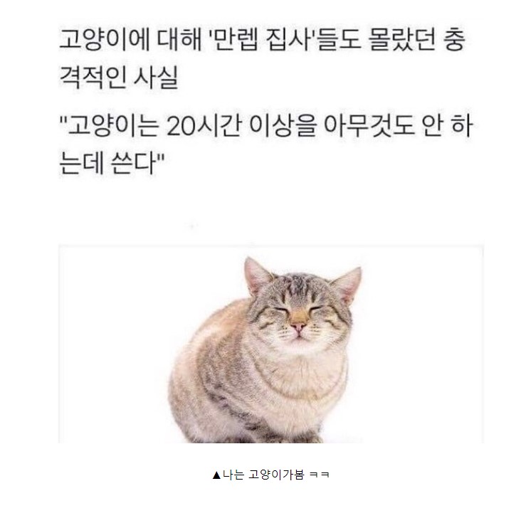 고영희씨에 대한 충격적인 사실