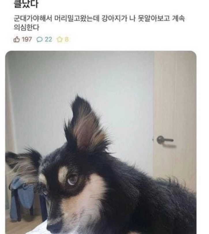 의심의 눈초리