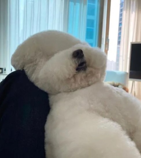 업소녀(에이스)와 마카오행 #2 (완결)