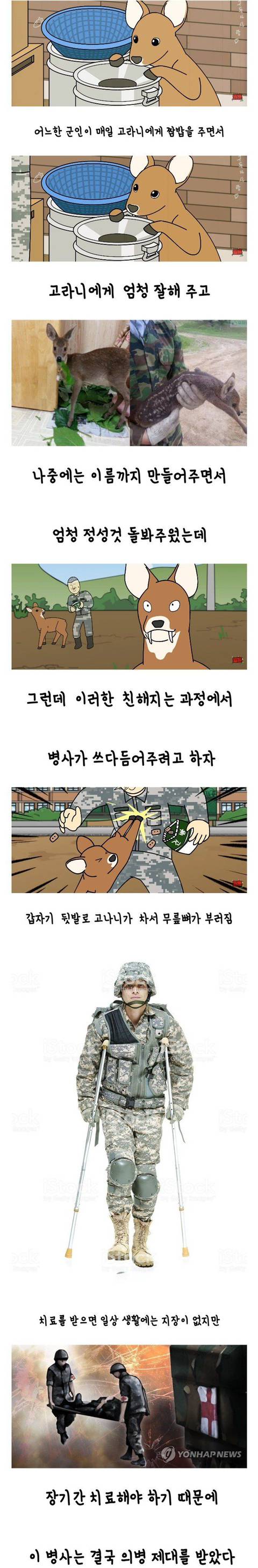 고라니 밥주다 의병제대