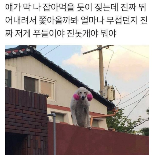 자....잠시만 저게 뭐야?