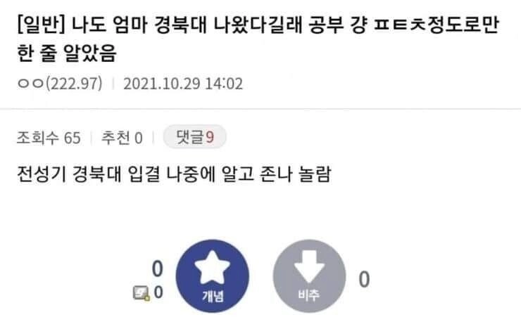 엄마가 경북대 나왔다는 디씨인