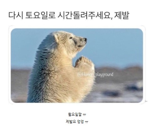 월요일짤