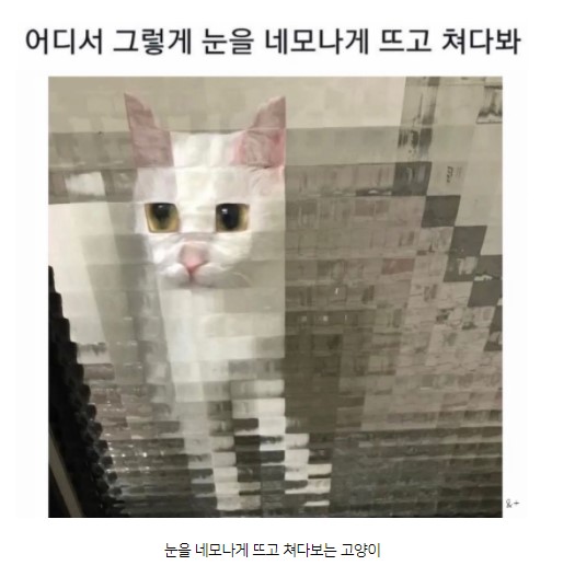 어디서 눈을