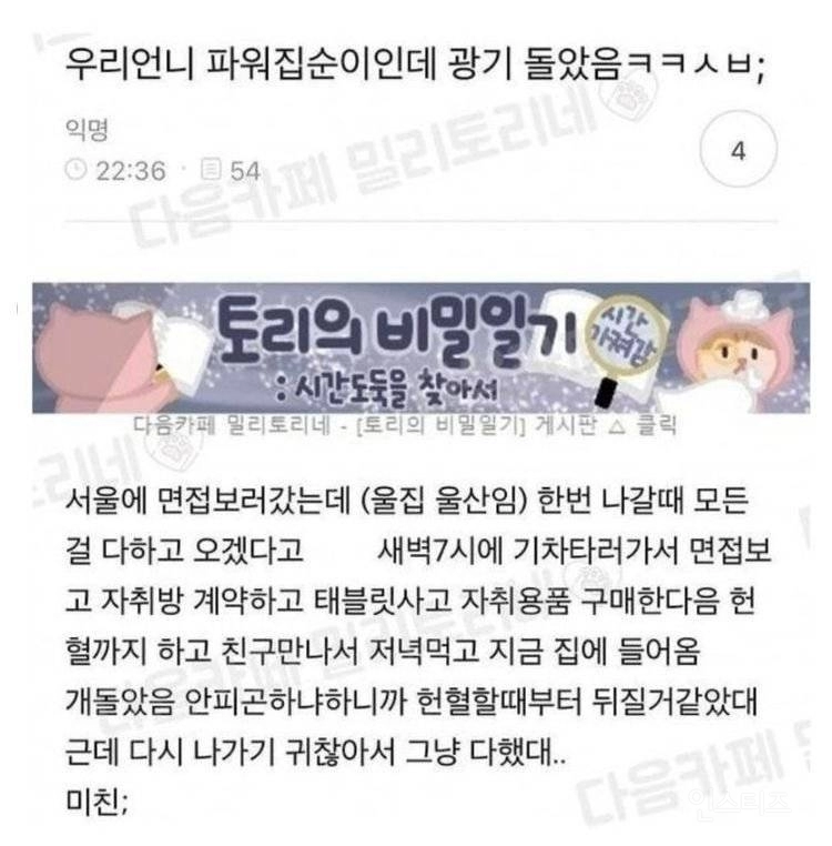 어느 집순이의 노선