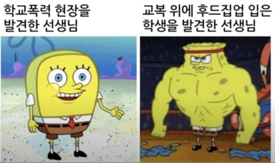 교권이 추락한 이유.jpg