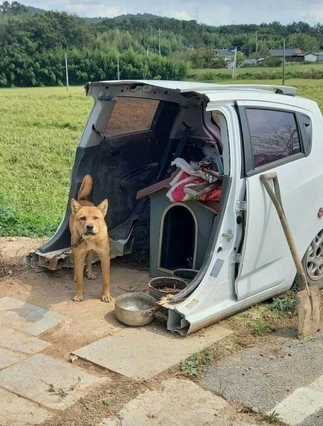 차박동호회 강퇴짤....jpg