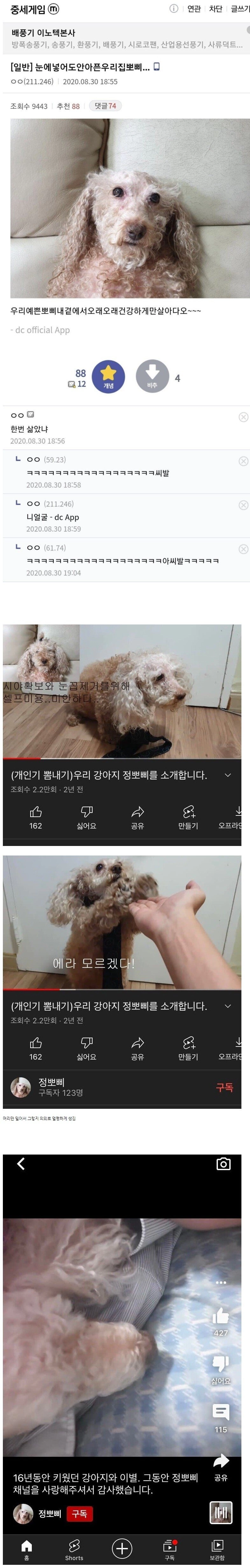 한번 삶았냐 강아지 근황