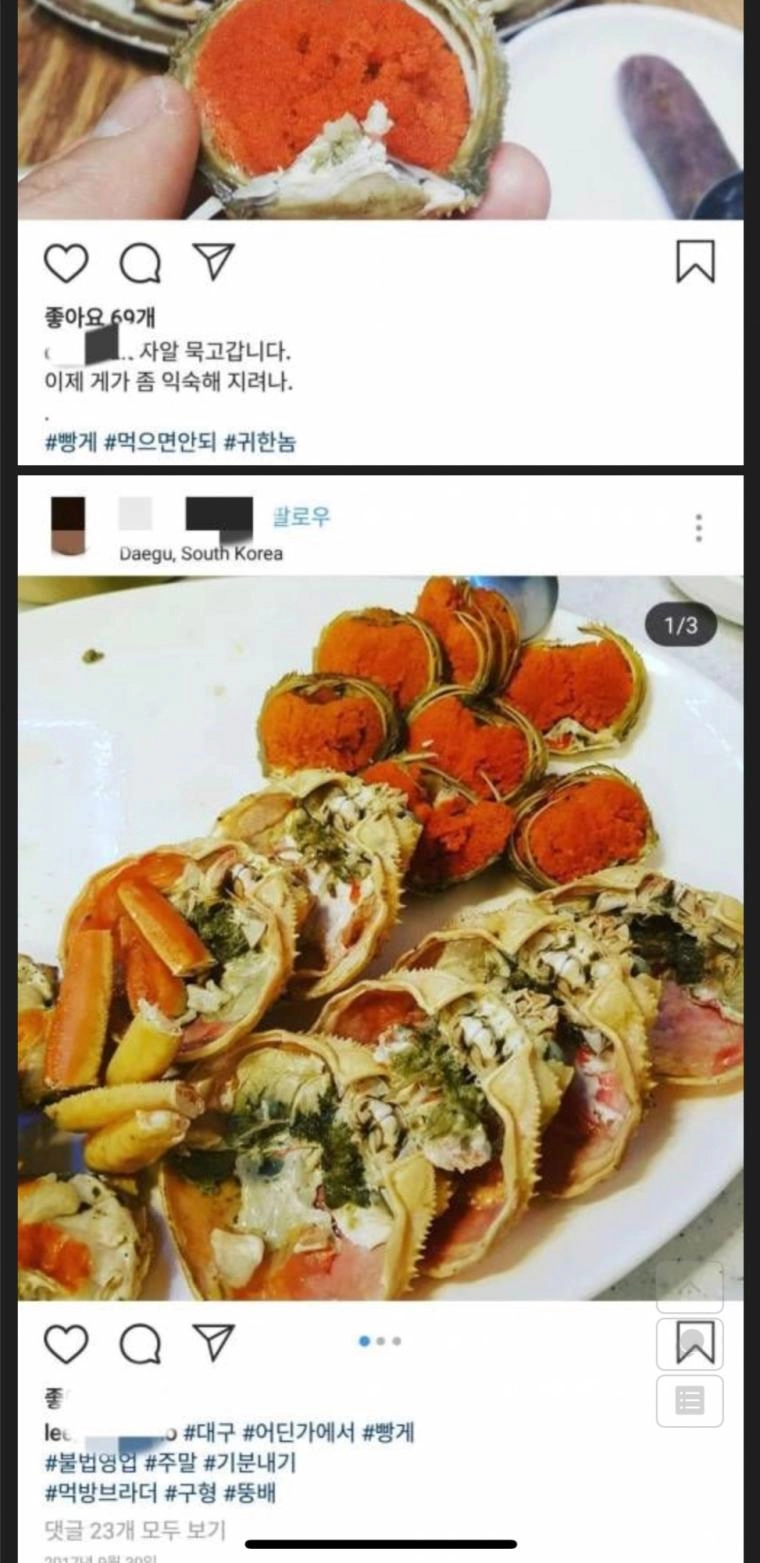 2,000만원짜리 대게 인증샷...jpg