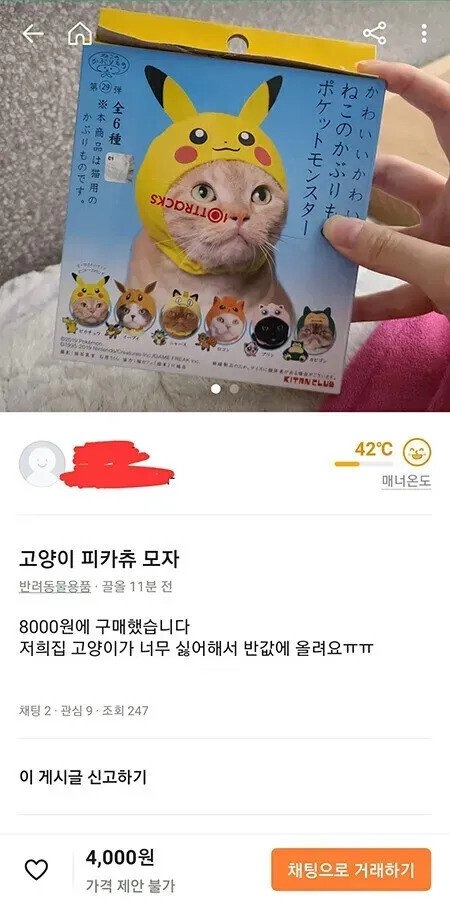 고양이 모자 후기