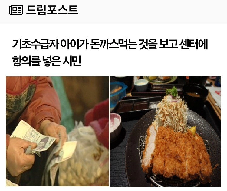 '감히 내 세금으로 돈까스를 먹어?'...jpg