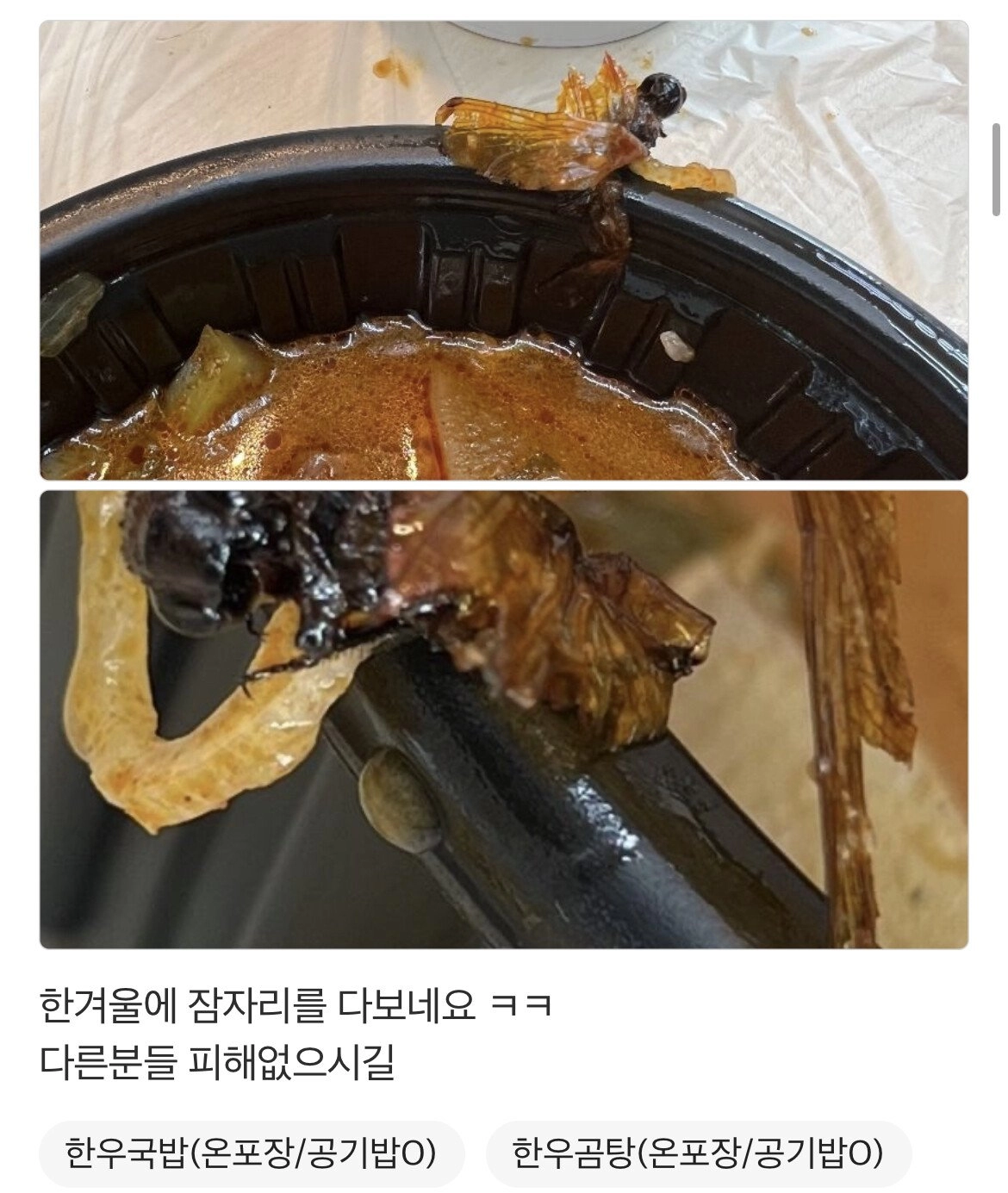 어느 동네 육회집 리뷰