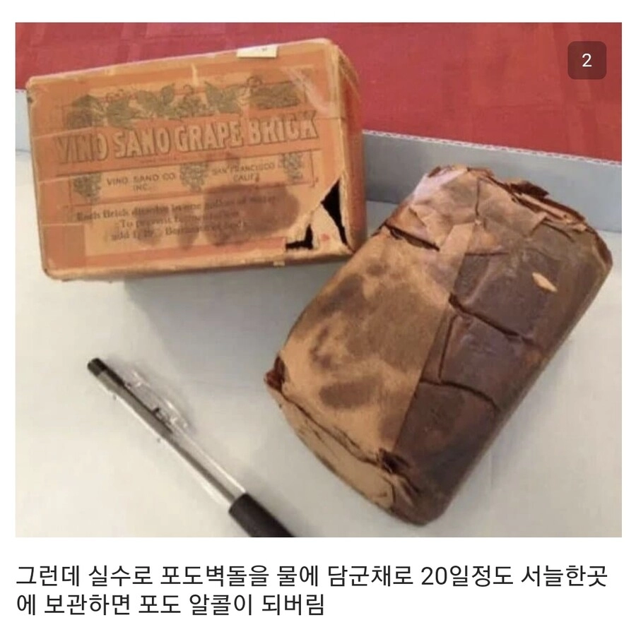 100년전 대 실패한 미국의 어느 발명품