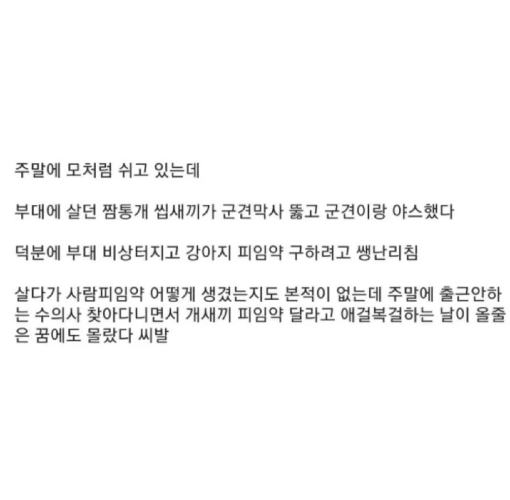 군복 페티쉬