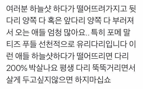 인스타 사진때문에 학대당하는 댕댕이들