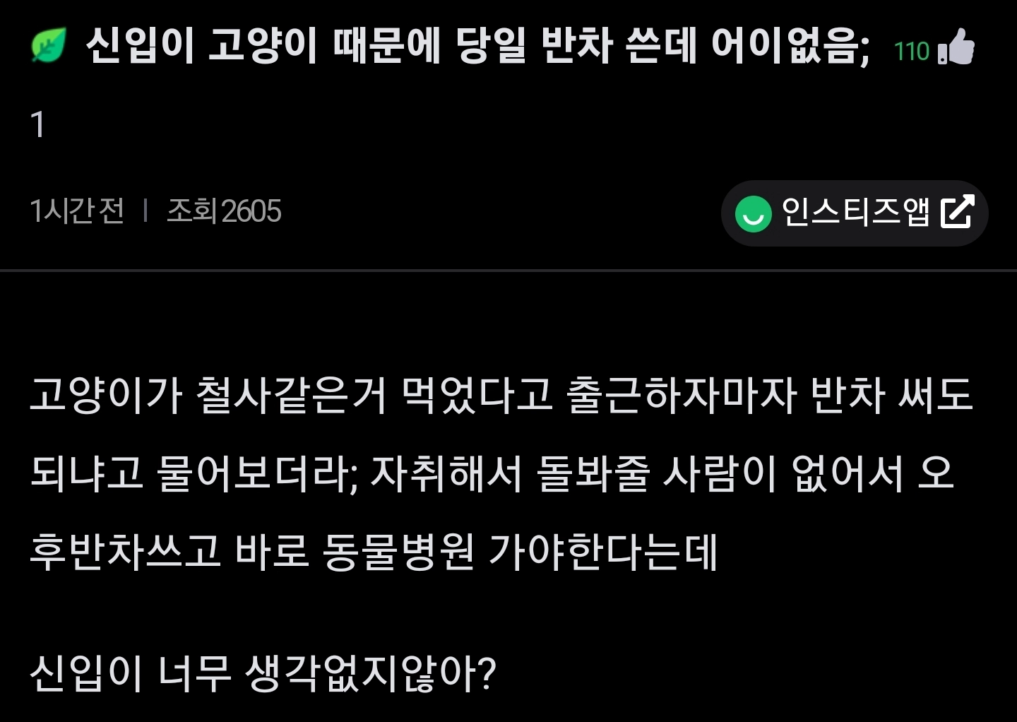 신입이 고양이때문에 반차쓴댄다 ㅋㅋㅋ