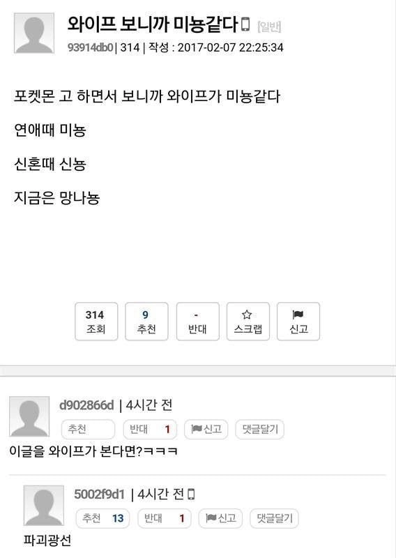 와이프를 포켓몬에 비유해보면