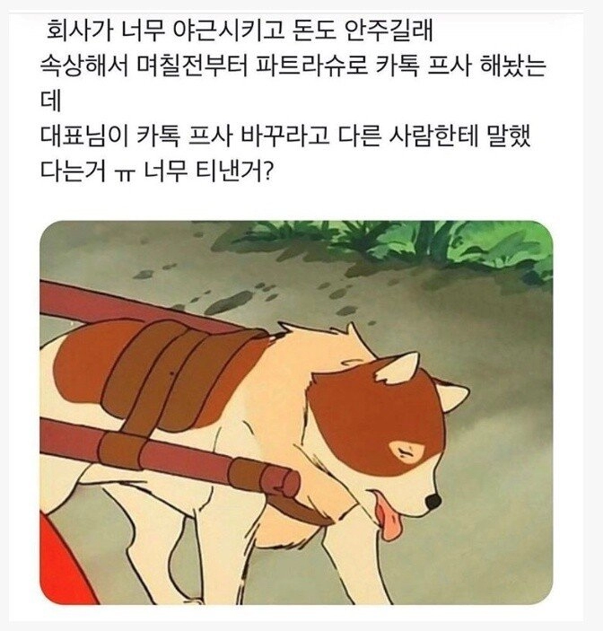 '회사에서 내 프사 바꾸래...'.jpg