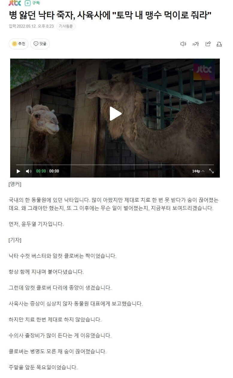 병 앓던 낙타 죽자, 사육사에 '토막 내 맹수 먹이로 줘라'