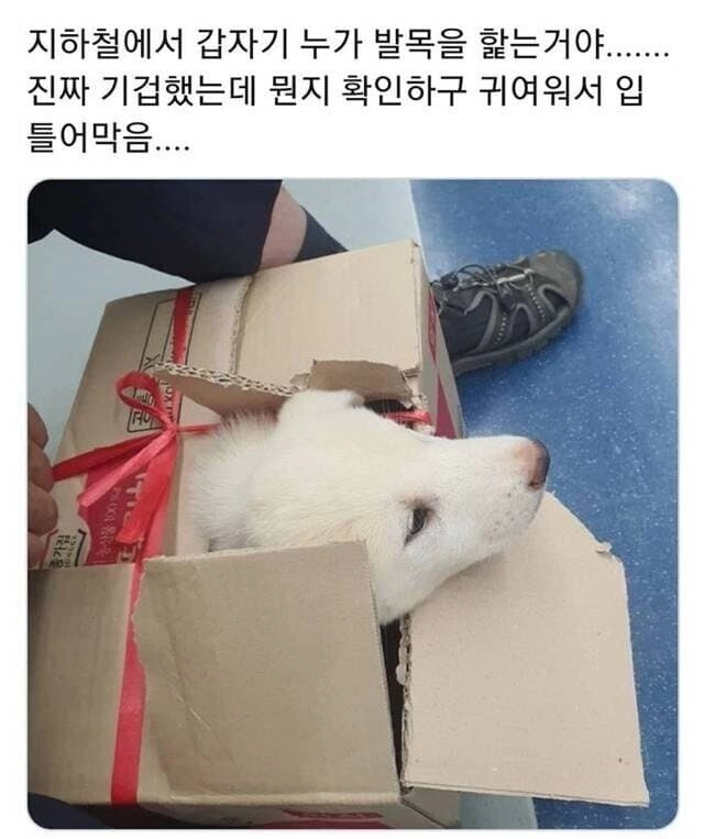 지하철에서 갑자기 누가 혀로 핥음