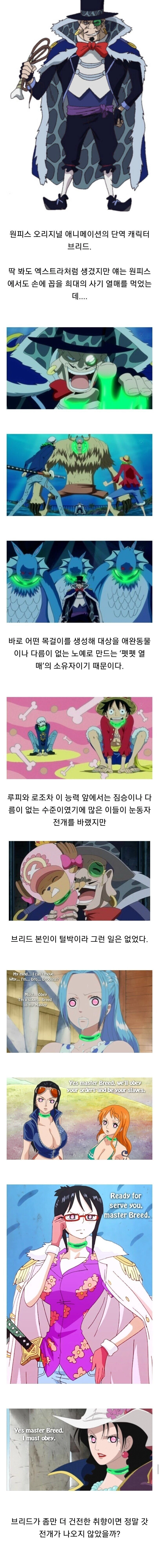 범용성갑 원피스 최고의 열매