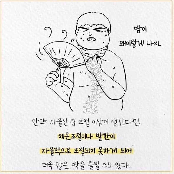 살 찌면 더위 많이 타는 이유 .jpg