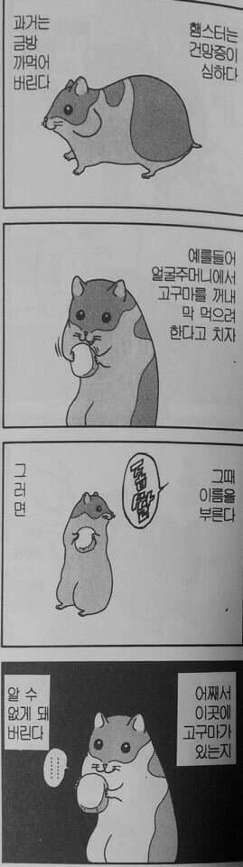 햄스터의 건망증.jpg