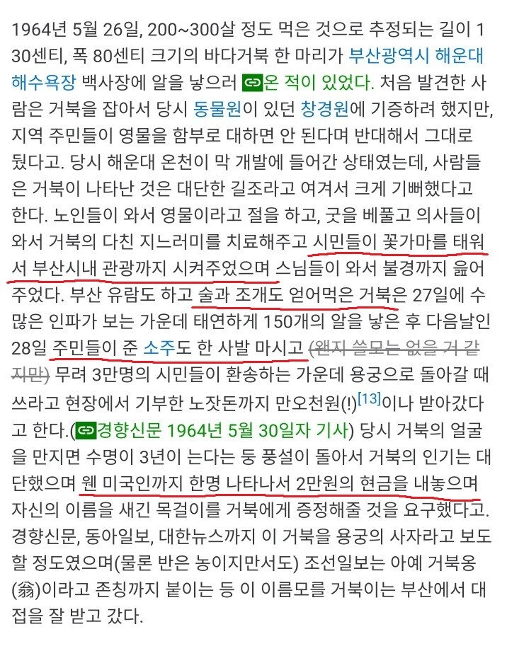 전설의 부산 풀코스.jpg