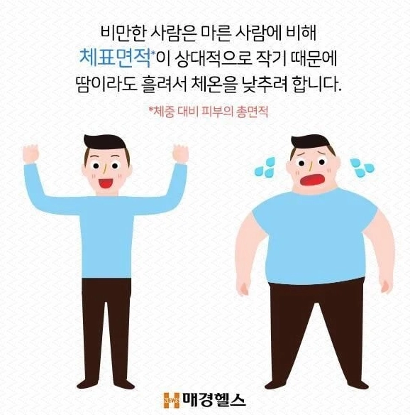 살 찌면 더위 많이 타는 이유 .jpg