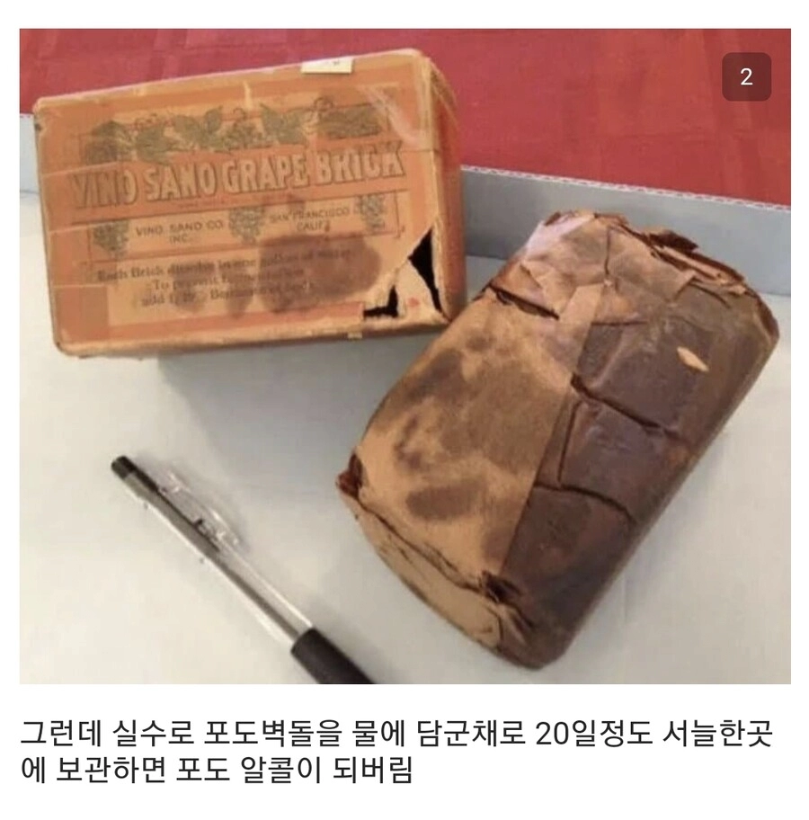 100년전 미국의 실패한 발명품