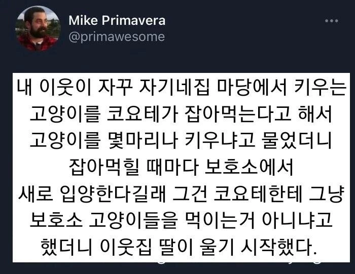 고양이 잡아먹는 코요테