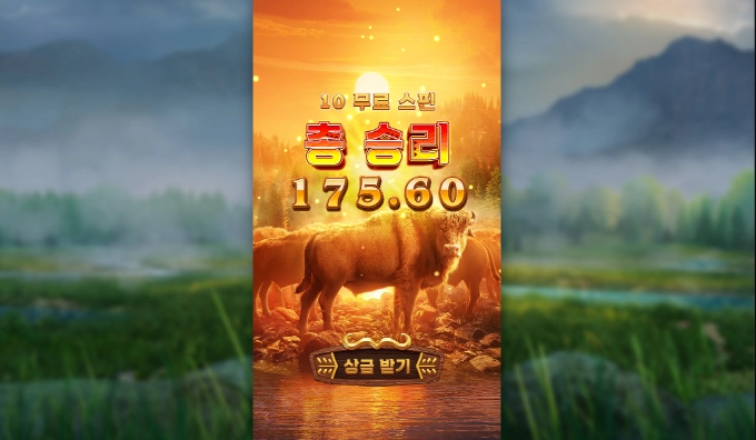 피지 버팔로! ㅋㅋ