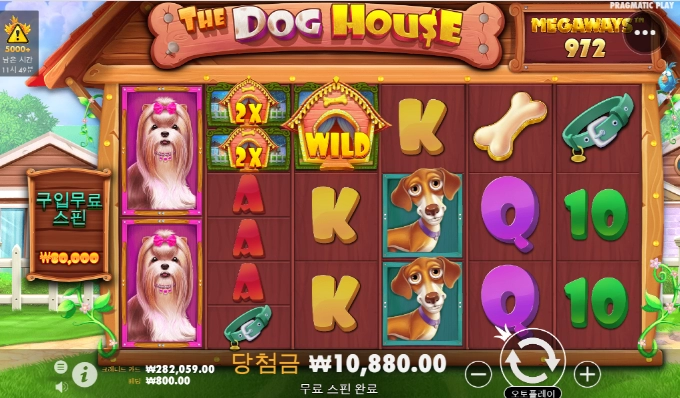 개집도 더위를 먹었나. 산책가자~~