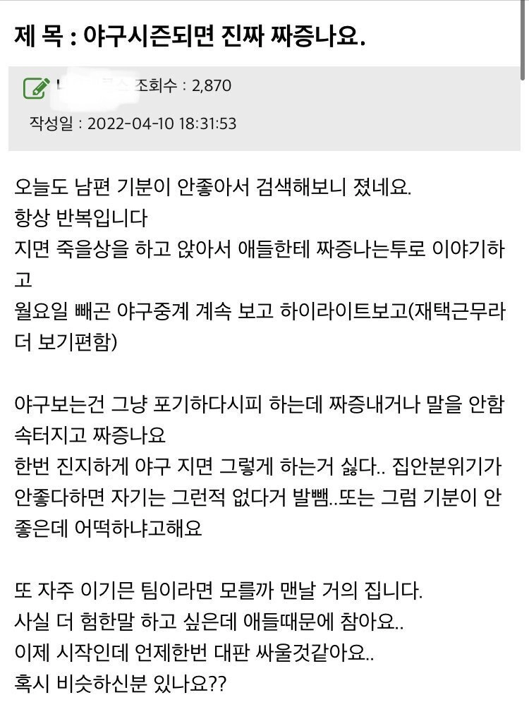 남편이 야구보는게 싫은 와이프