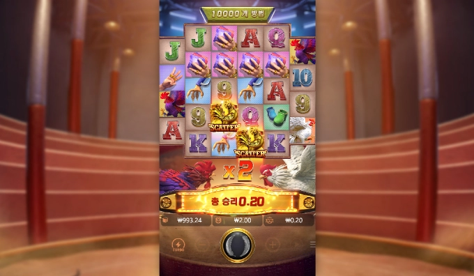 피지 닭소리 이것들 너무하네!