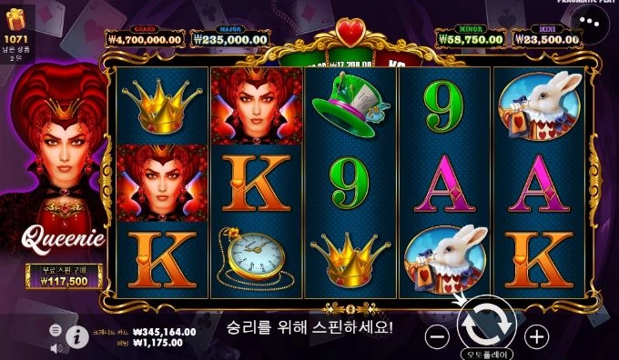 퀴니 요즘들 안하시네