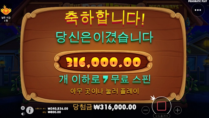 고양이보단 강아지