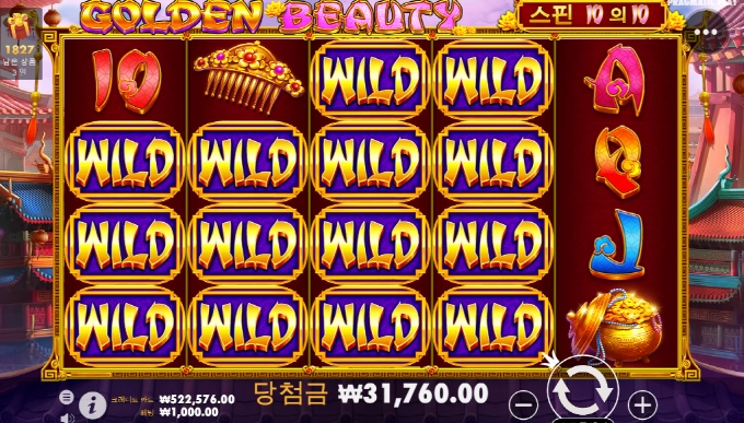 골든 뷰티 와일드 오져서 개 깜놀!!